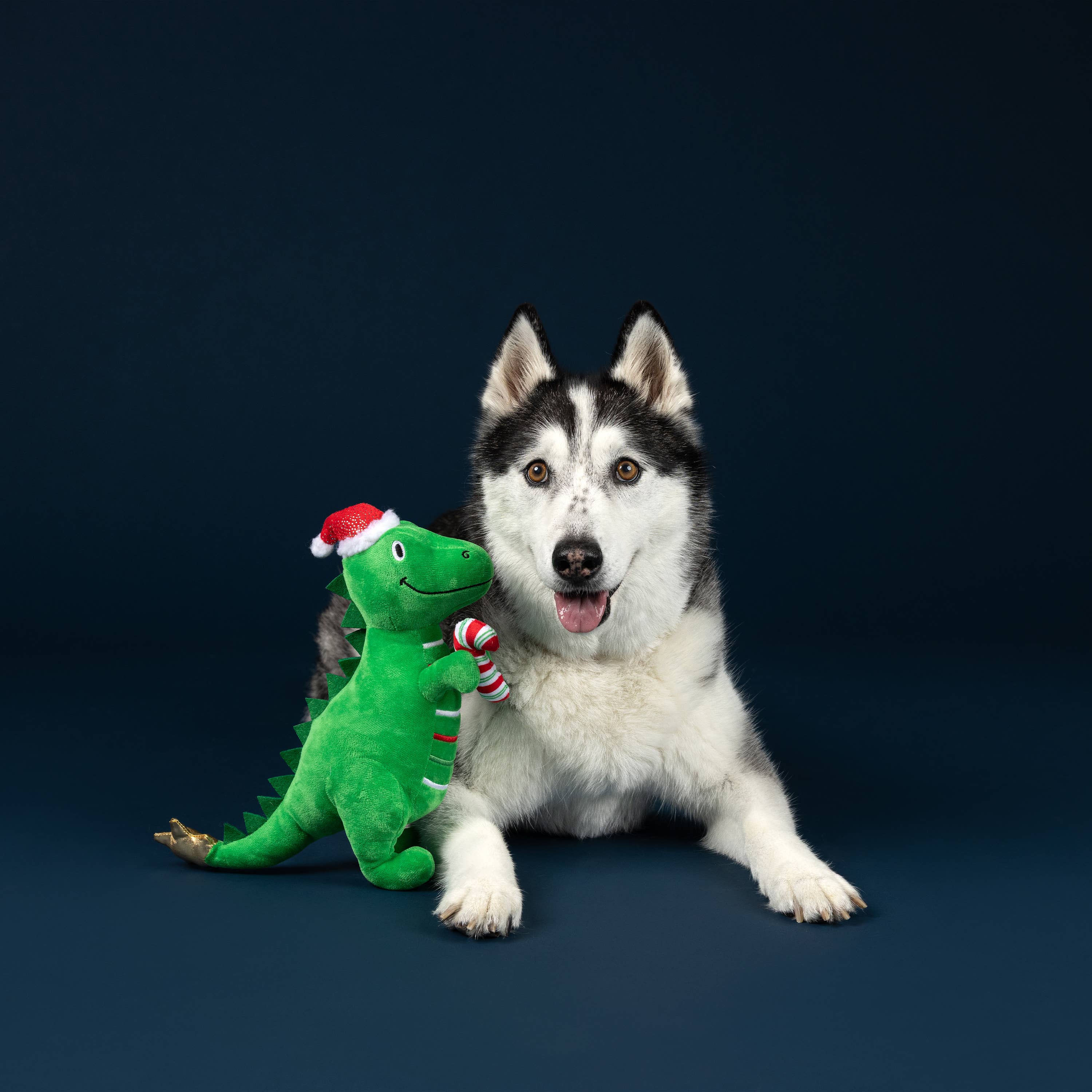 Petshop by Fringe Studio - Wholesale Pet Toy - Dog - REX-MAS IS HERE! PLUSH DOG TOY2