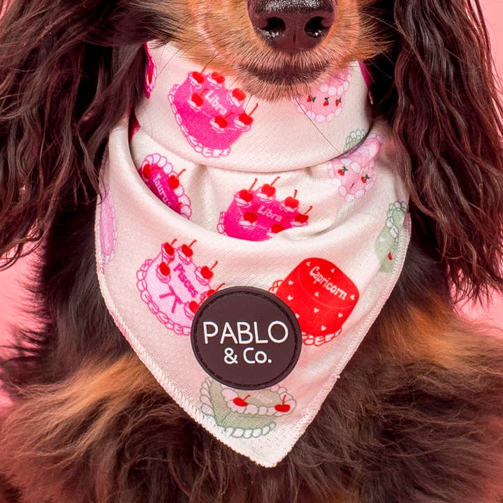 Kosmischer Geburtstag: Hundehalstuch für den Großhandel von Pablo & Co. Boutique