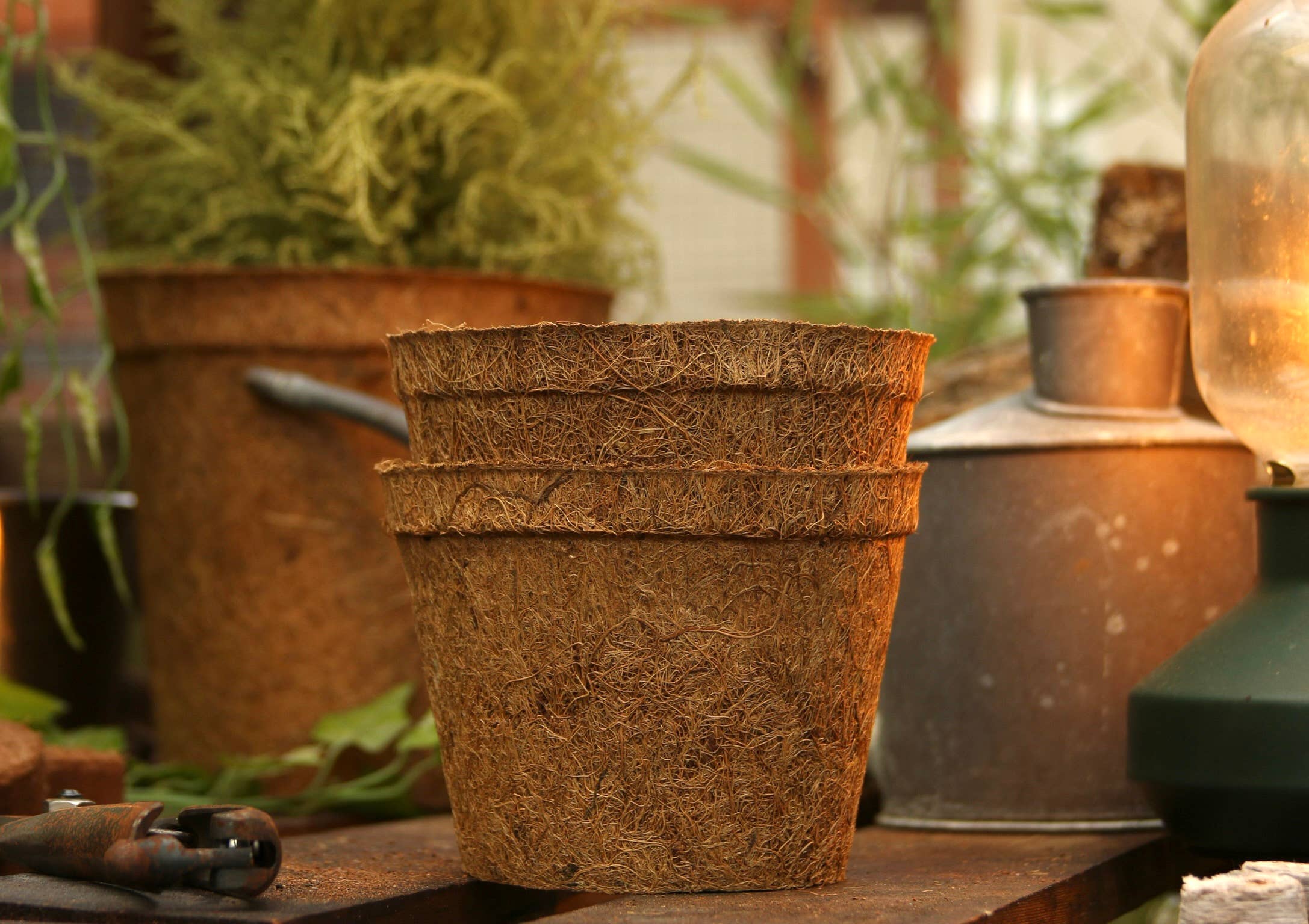 CoirProducts.co.uk of Salike Limited – wholesale Plant pot – 13 cm Coir Pots | Plant Pots | 100% Biodegradable | 1 Ltr3