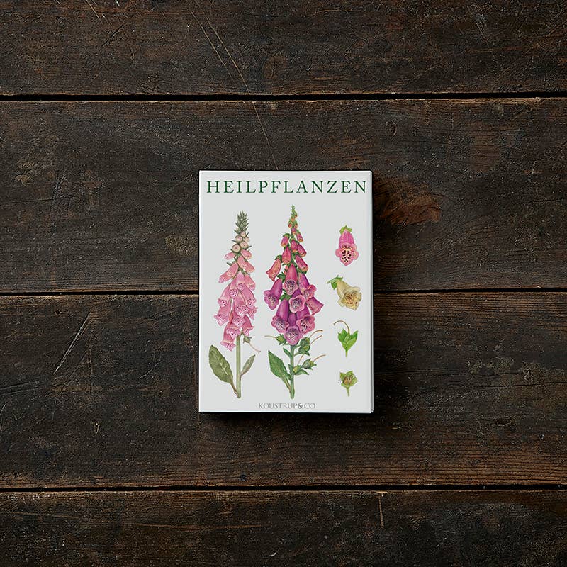 Koustrupco - Wholesale Everyday Greeting Card - Cardfolder Heilpflanzen - 8 cards w/envelopes (german)0