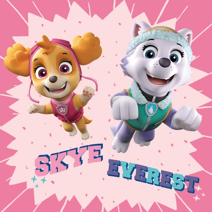 Paw Patrol stretcher frame for wholesale by Bönninghoff