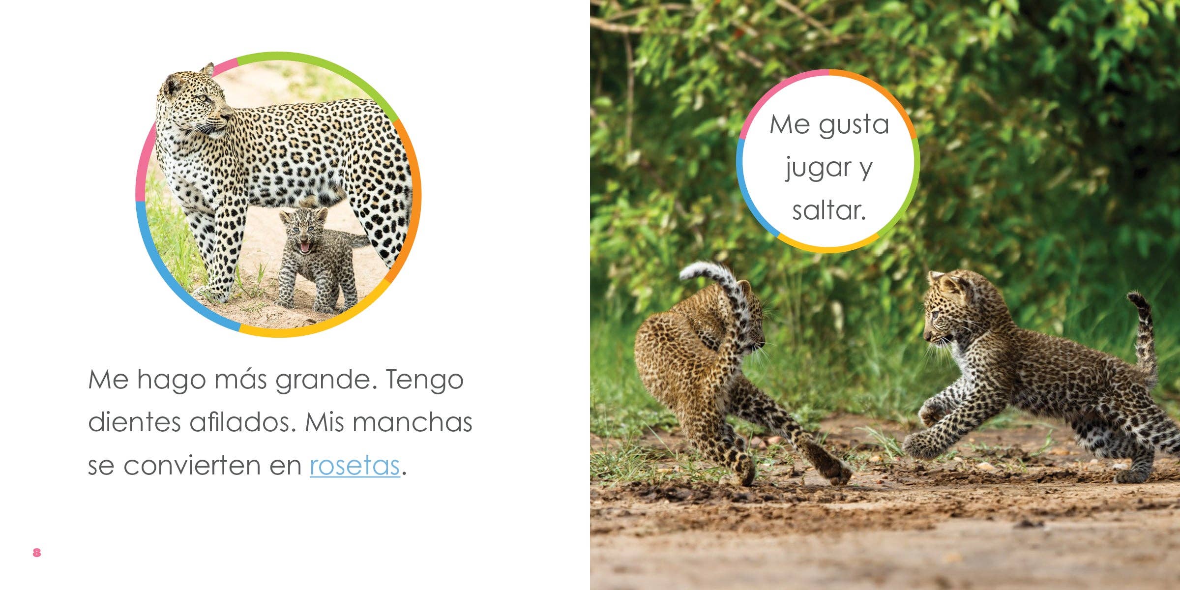 The Creative Company – wholesale Bok för unga läsare (6–8) – Leopardungar3