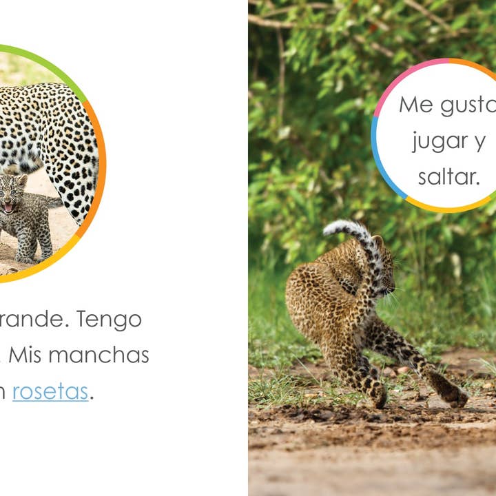 The Creative Company – wholesale Bok för unga läsare (6–8) – Leopardungar3