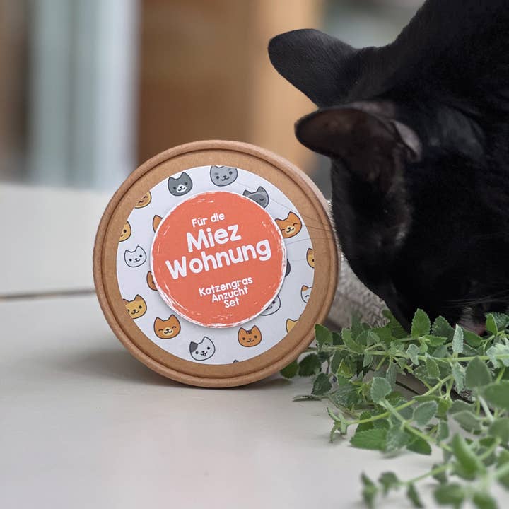 Wunderle GmbH – Großhandel Haustierspielzeug – Katze – Für die Miezwohnung Pott Katzengras Anzucht Set1