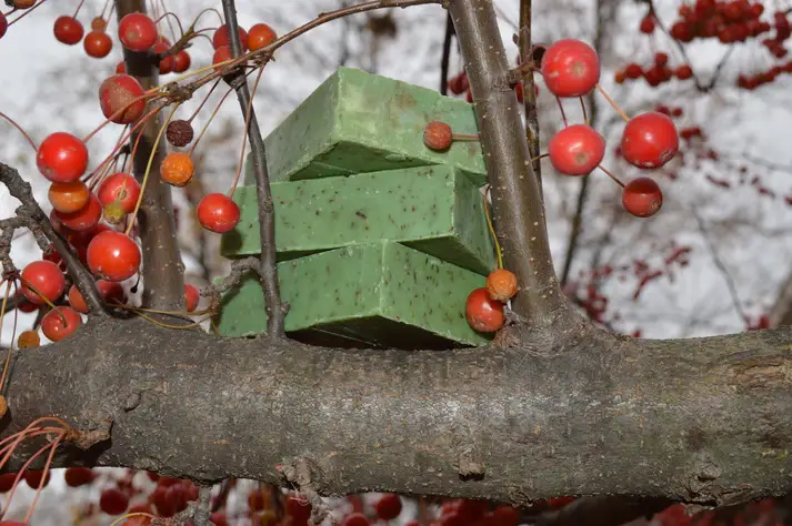 Cream City Soap Company - Wholesale Bar Soap - Handmade Soap7