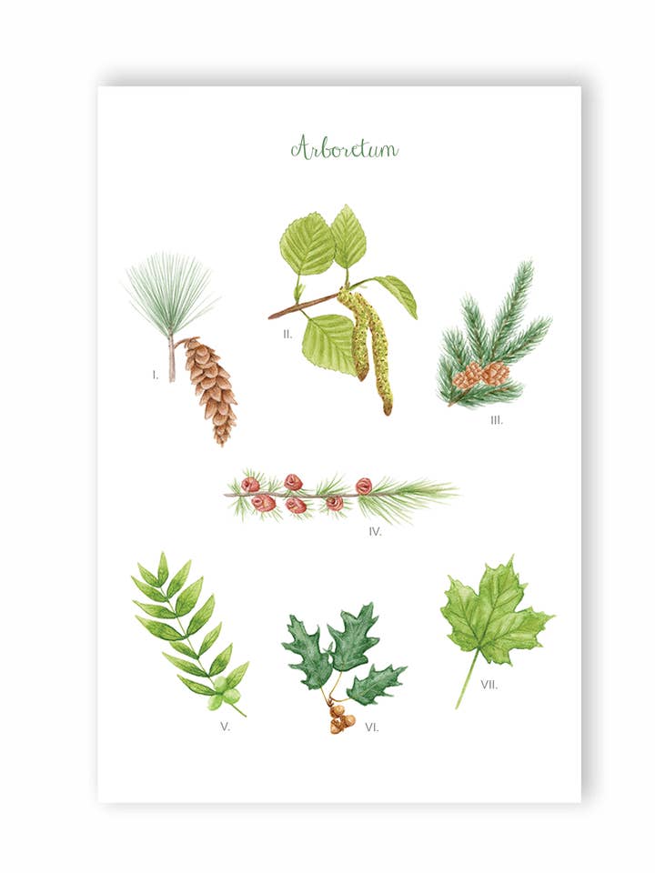 Arboreto, Cartolina per la vendita all'ingrosso da parte di Hobeika Art