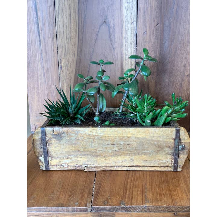 Asia West – Großhandel Hochbeet – Pflanzgefäß aus recyceltem Teakziegel-Formteil6