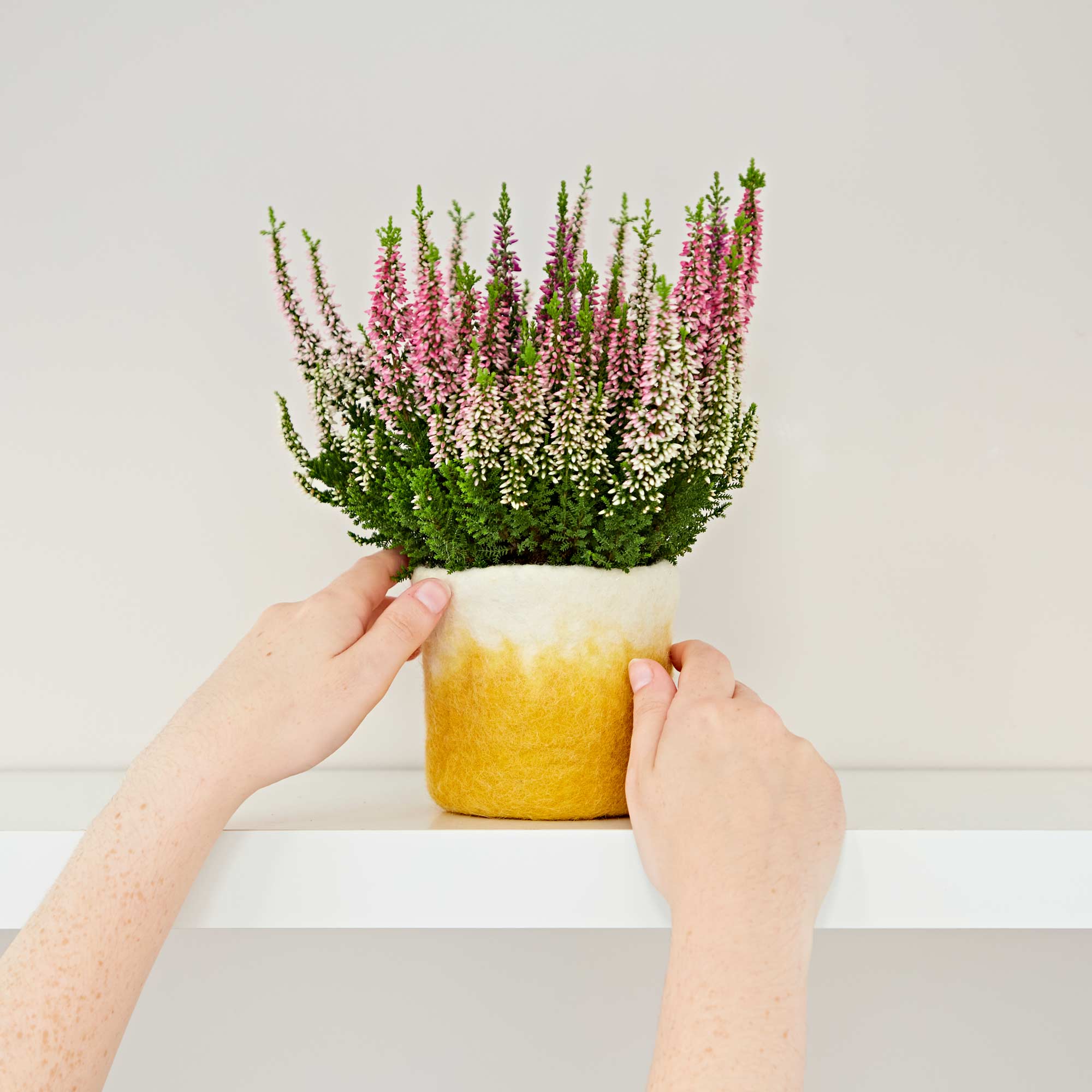 The Paper High Gift Company Limited - Wholesale Plant Pot - Handmade Felt Yellow Ombre Plant Pot Cover1