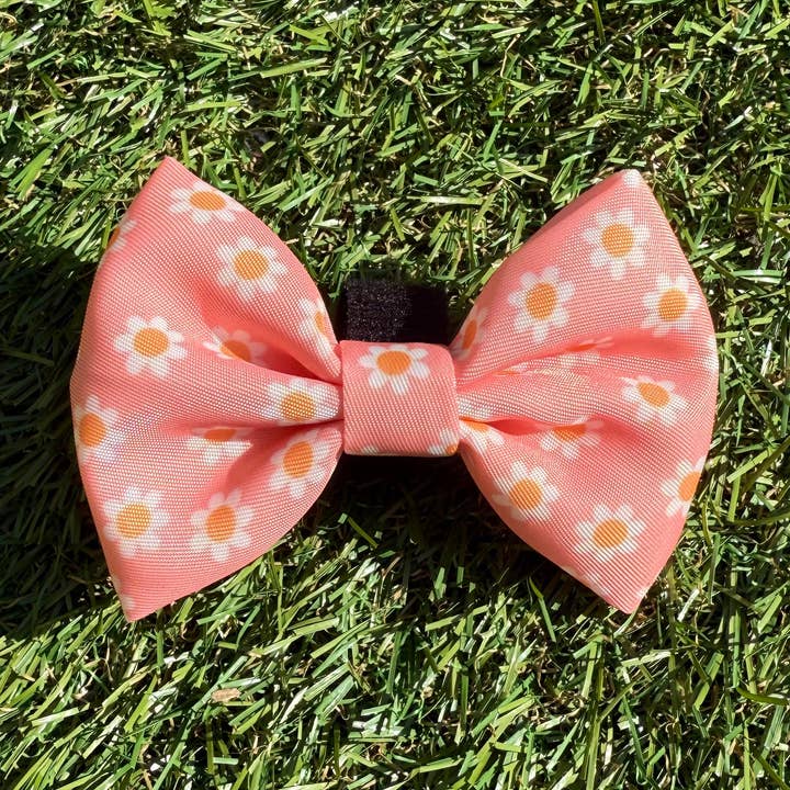 Hundrosett rosa med blommor - Dazzling Daisy för wholesale av Littlewoofpaws