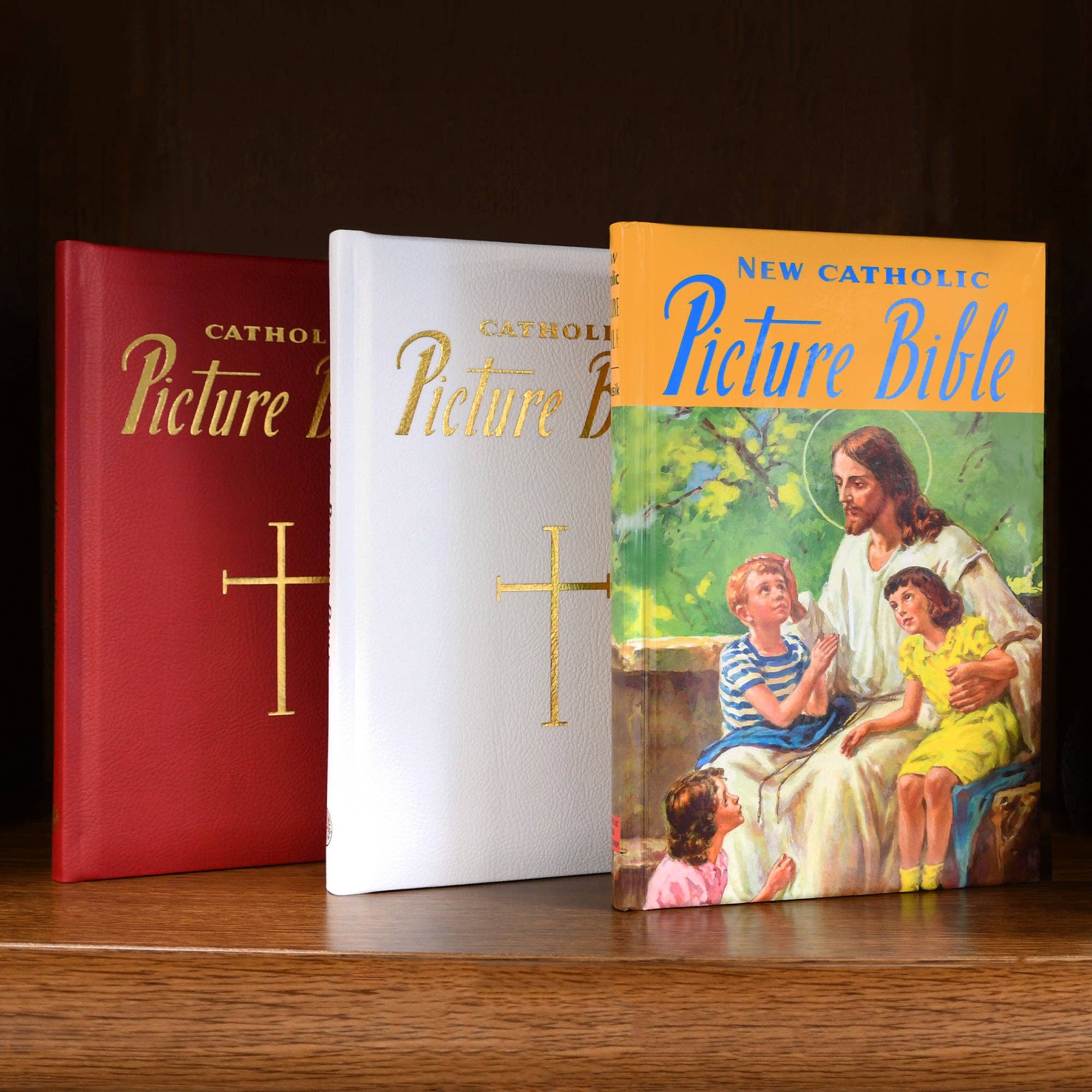 Catholic Book Publishing - Wholesale Religion Book - New Catholic Picture Bible2