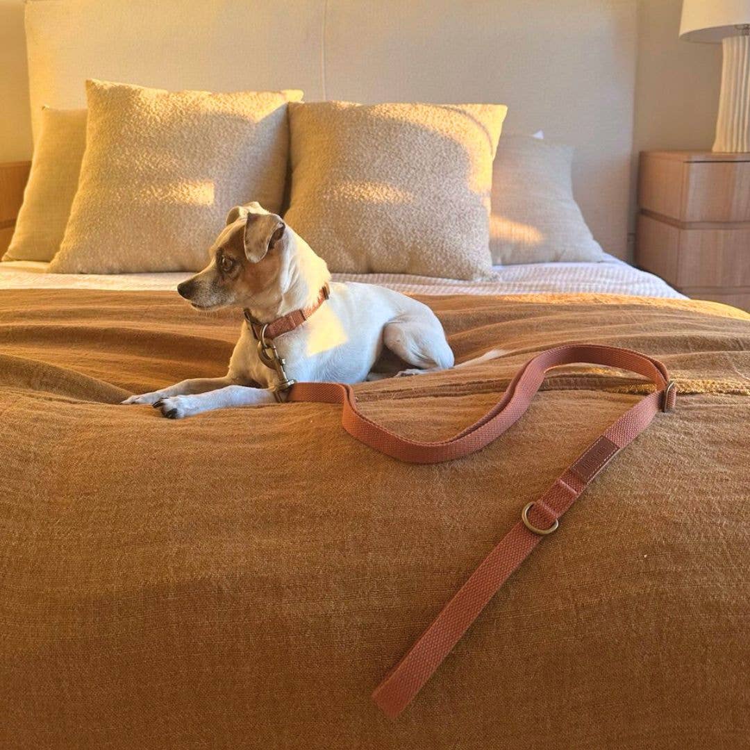 Tilley + Me - Wholesale Pet Leash - Dog - Hemp Cotton Dog Leash - Adjustable & Lightweight35