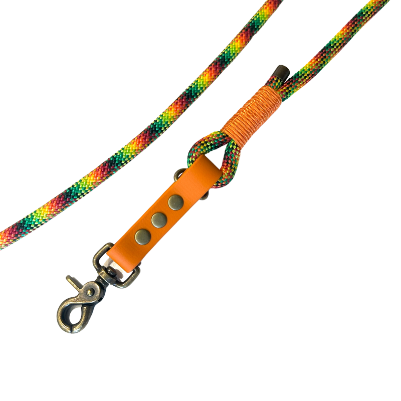 KITSUNE.DOG - Wholesale Pet Leash - Dog - Leave MULTIPOSITION textured paracord / biothane BLUE (Copy)2