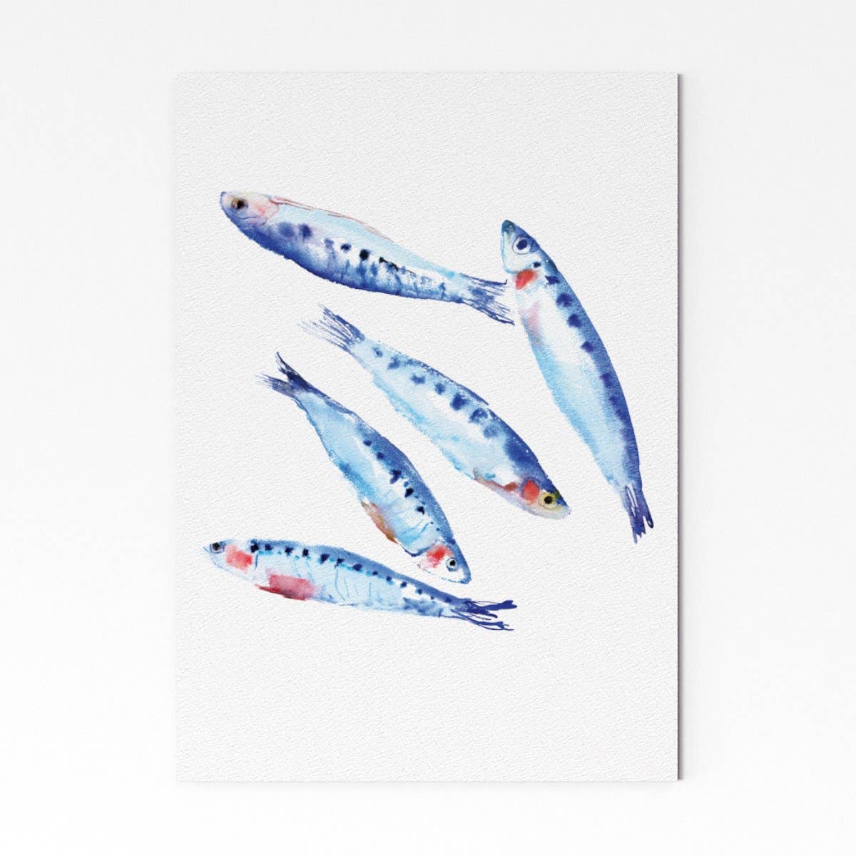 Rosie Webb illustrations - Wholesale Art Print - Sardines Giclée Print0