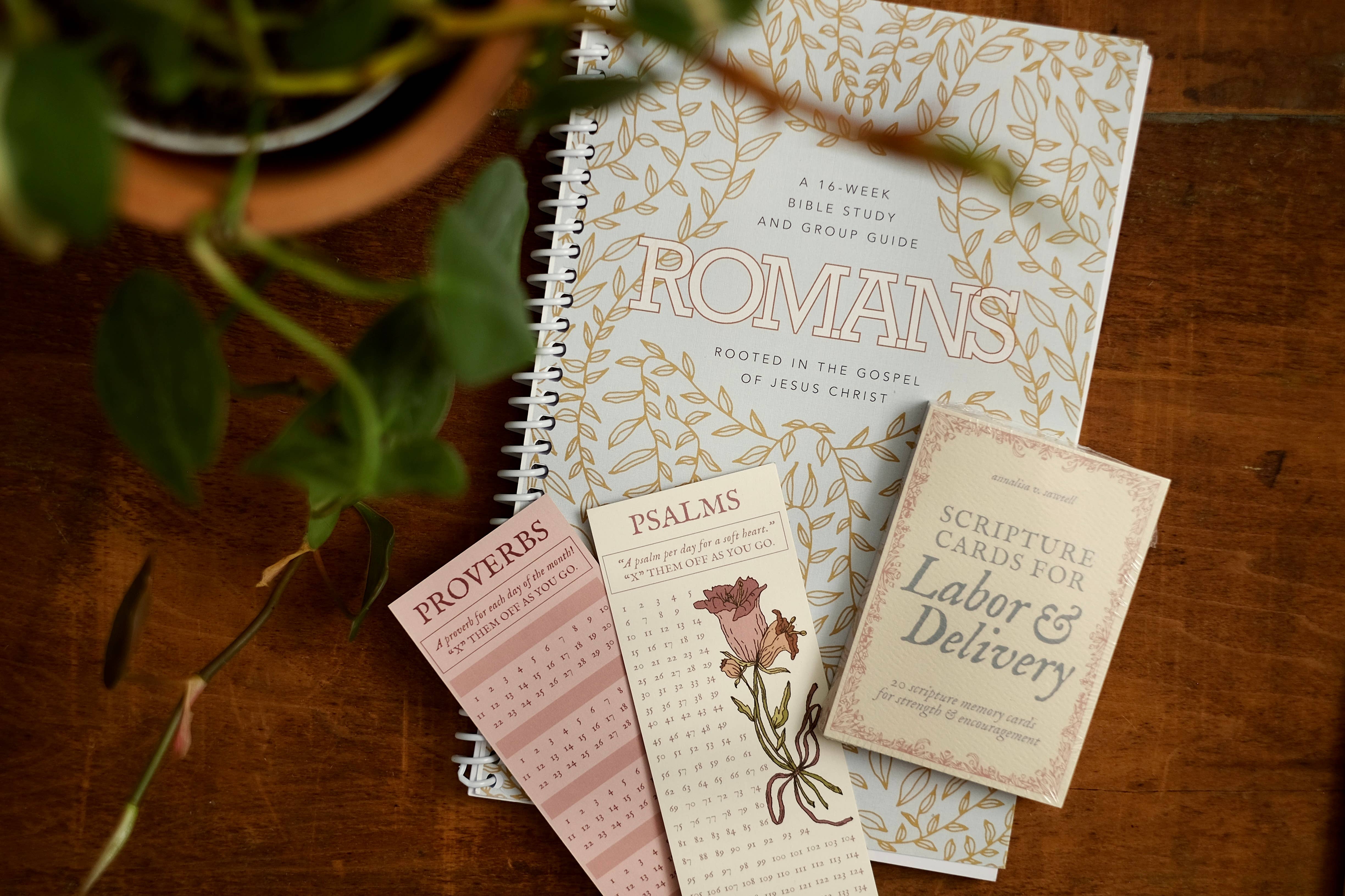 annalisa v. sawtell - Wholesale Stationery/Notecard Set - Scripture Cards for Labor & Delivery (Set of 20) | Christian10