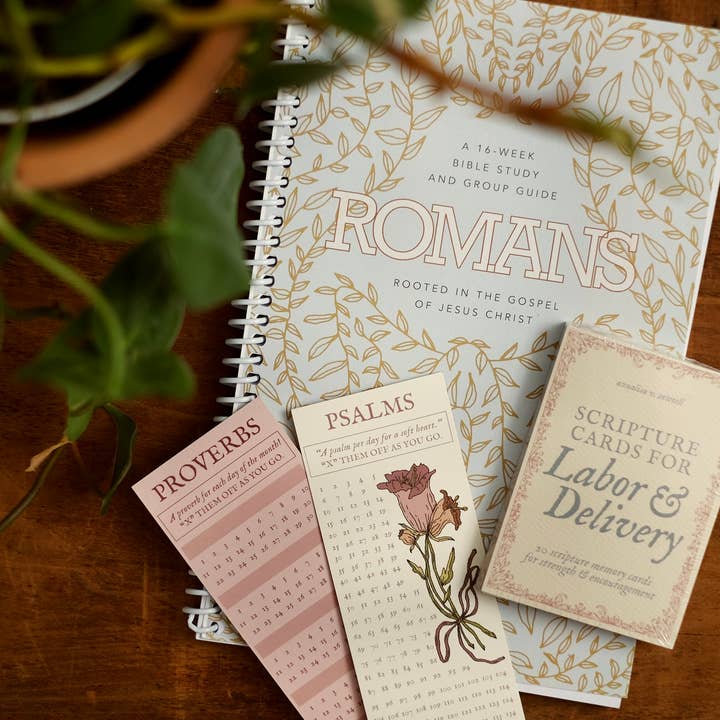 annalisa v. sawtell - Wholesale Stationery/Notecard Set - Scripture Cards for Labor & Delivery (Set of 20) | Christian10