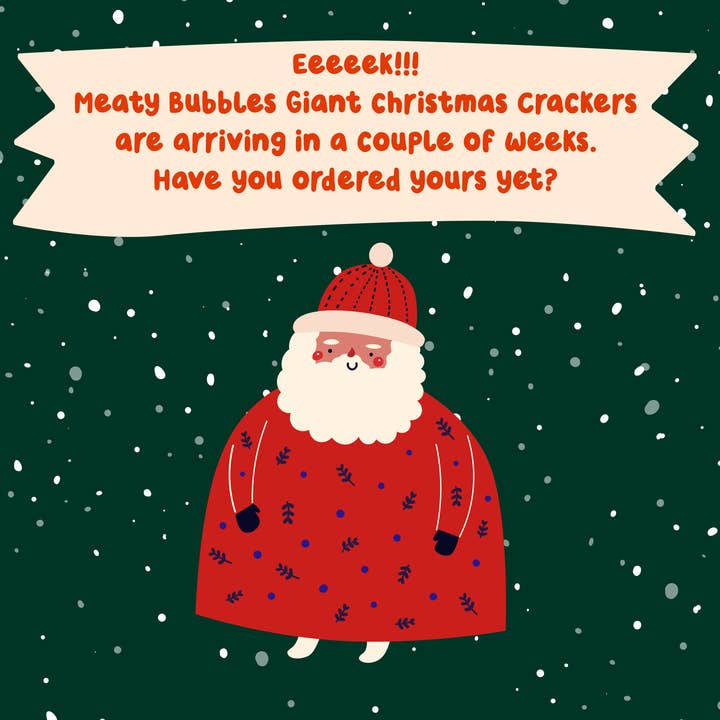 Apex Pet Products (Meaty Bubbles) - Wholesale Pet Toy - Cat/Dog - Giant Christmas Cracker 3 x 150ml Christmas flavours