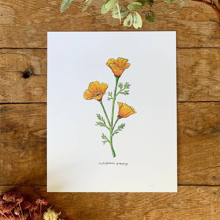Little Salt Wagon - Wholesale Art Print - California Golden Poppy Wildflower Art Print Home Wall Decor1