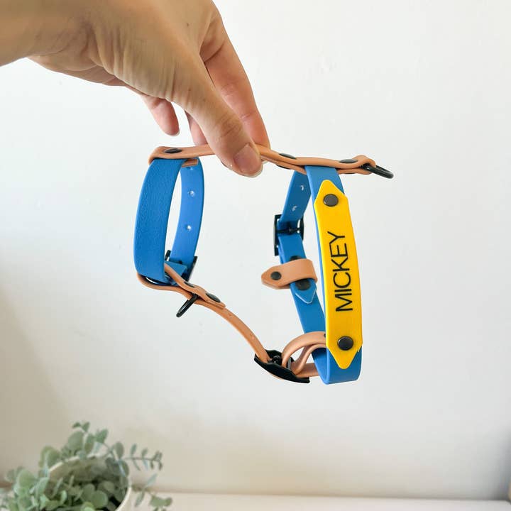 Kina Dogs - Vente Harnais – chien - Harnais personnalisable en PVC4