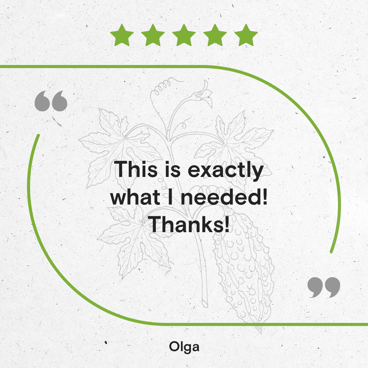 Secrets Of The Tribe – wholesale Tinktur – Bitter Melon Tinktur6