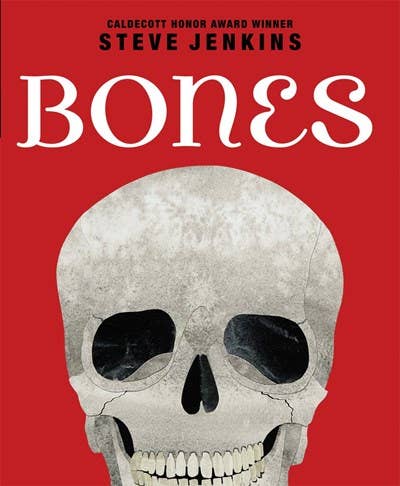 Scholastic - Wholesale Reference Book - Bones0