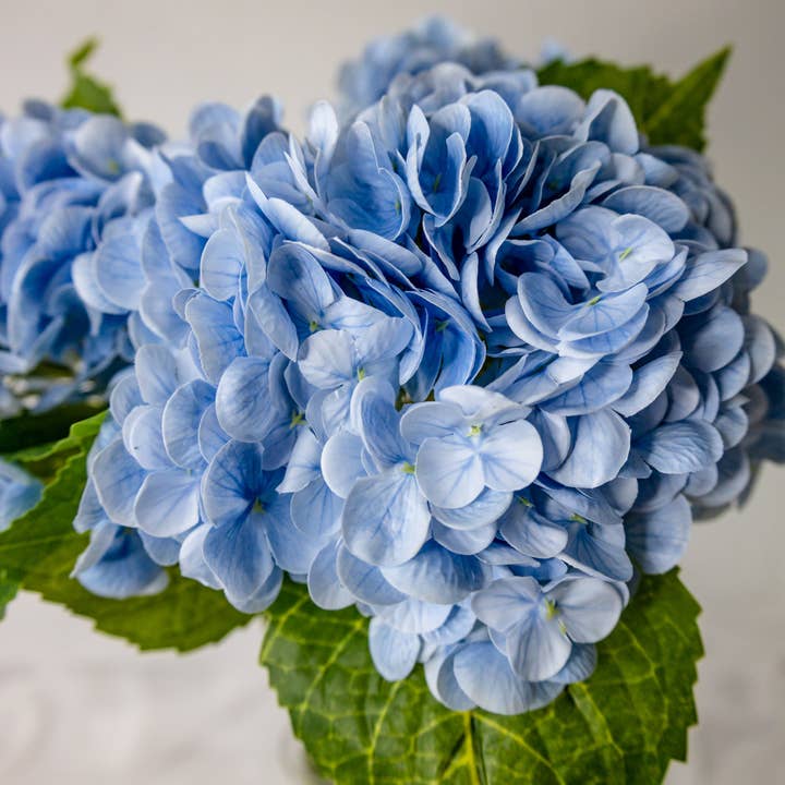 Realistic Artificial Flowers - Wholesale Artificial Flowers - Blue Hydrangea Real Touch-Realistic Artificial Flowers