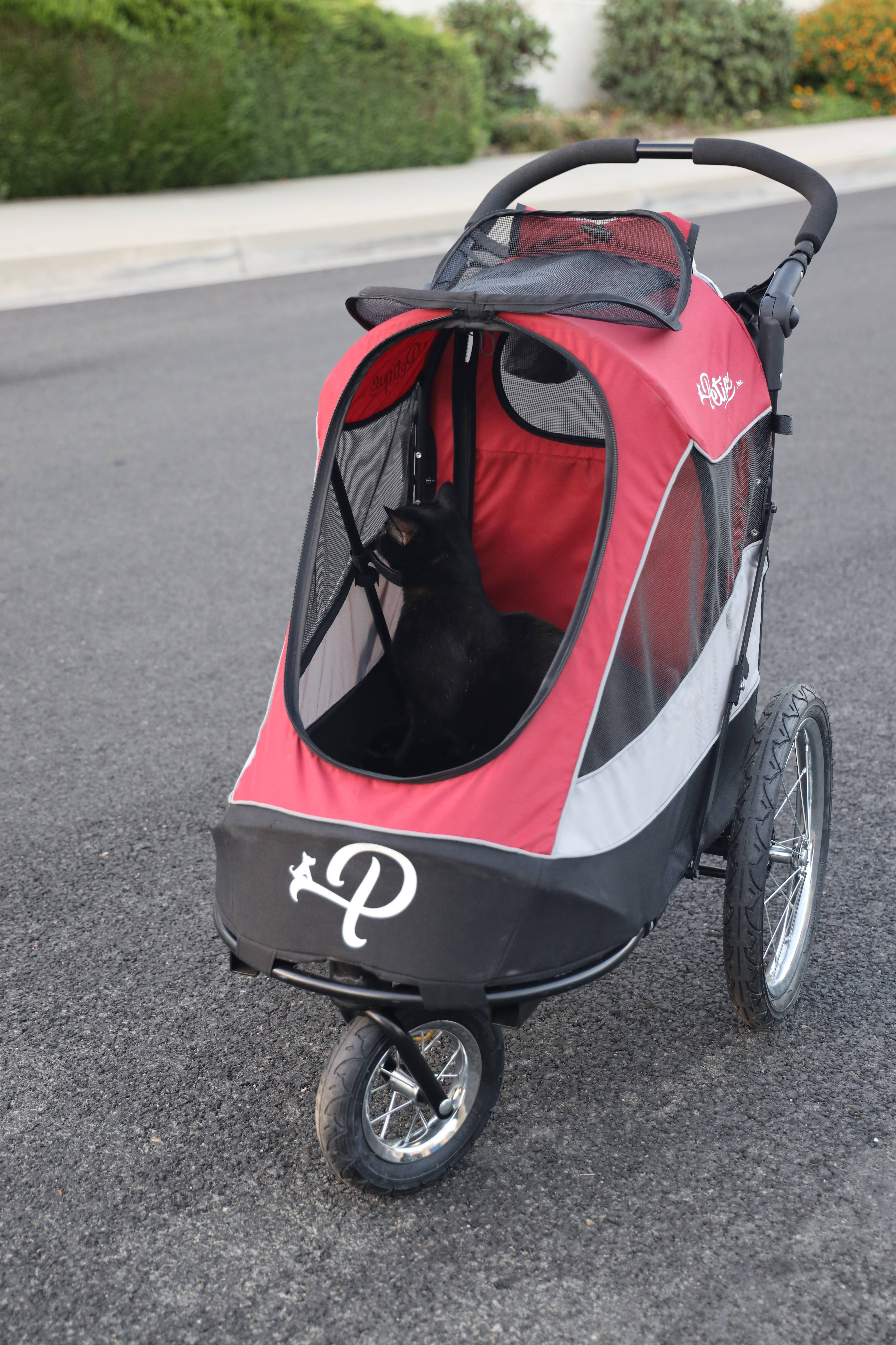 Only An Ocean Europe - Wholesale Pet Carrier - Cat/Dog - Petique Trailblazer Pet Jogger17