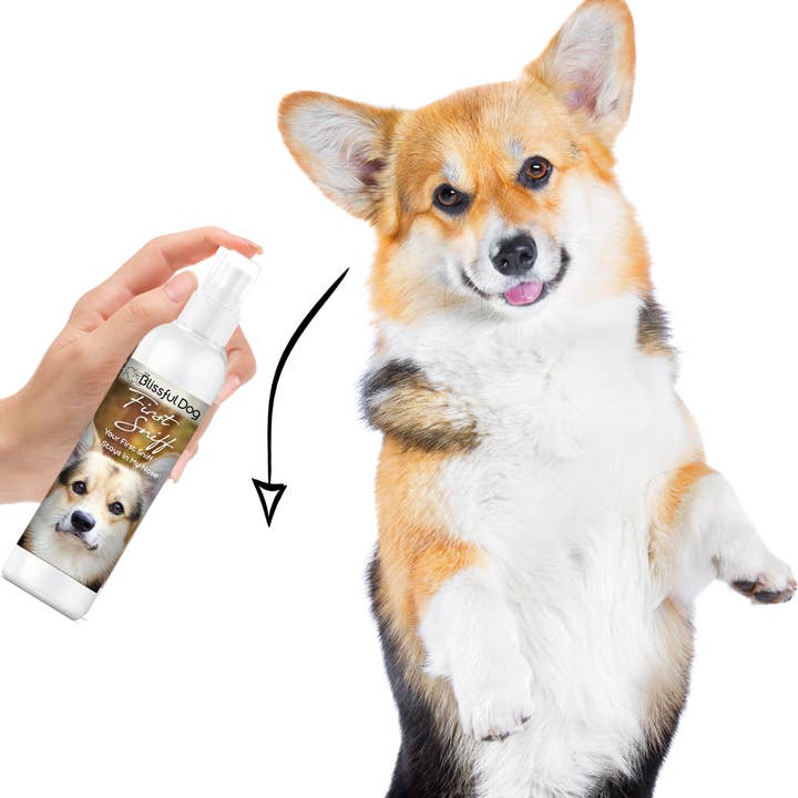 The Blissful Dog – Großhandel Haustier-Deospray – First Sniff Dog Cologne | Bleibt in Ihrer Nase Gallone