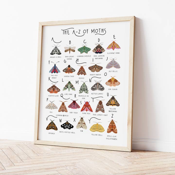 Bea Baranowska Illustration – wholesale Art print – The A-Z of Moths Print2