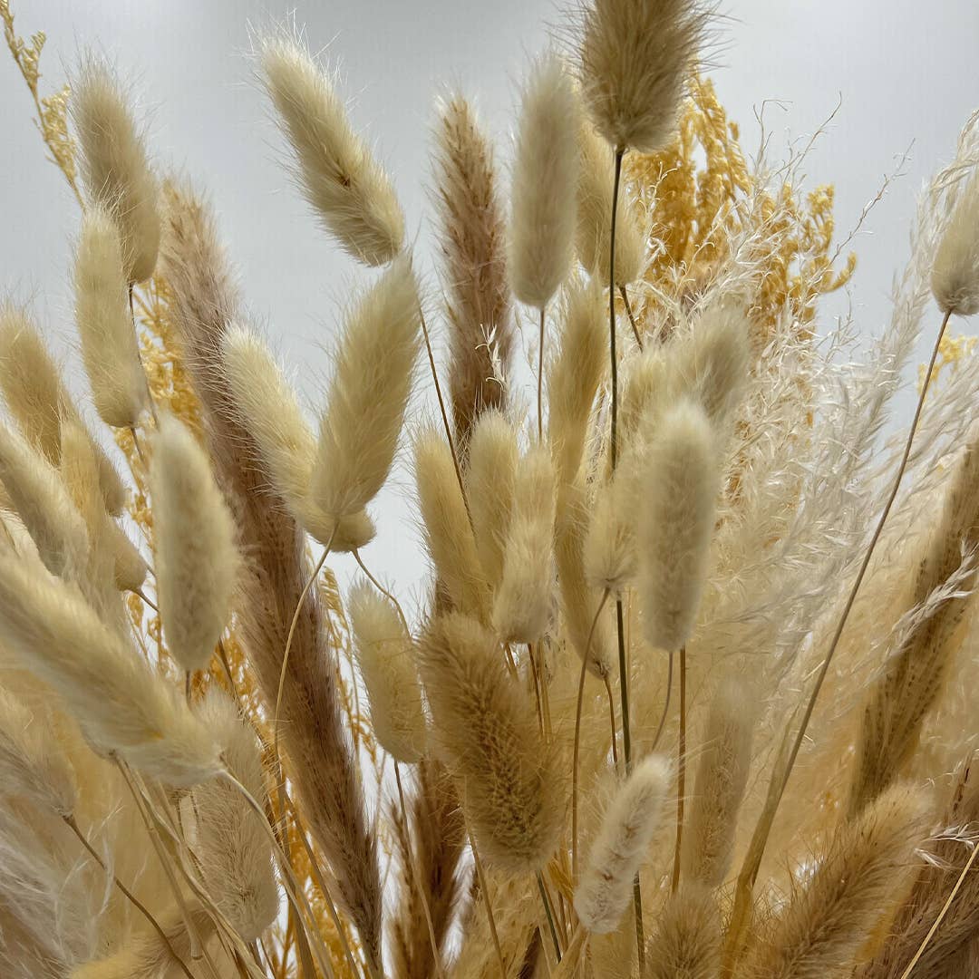 2626 Designs - Wholesale Dried/Pressed Flowers - Real Preserved Mixed Bouquets Mix 8 Small - Med - Large4