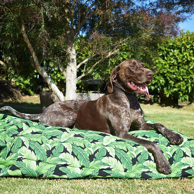 Jungle Leaves Outdoor Dog Bed for wholesale by Mr. Soft Top