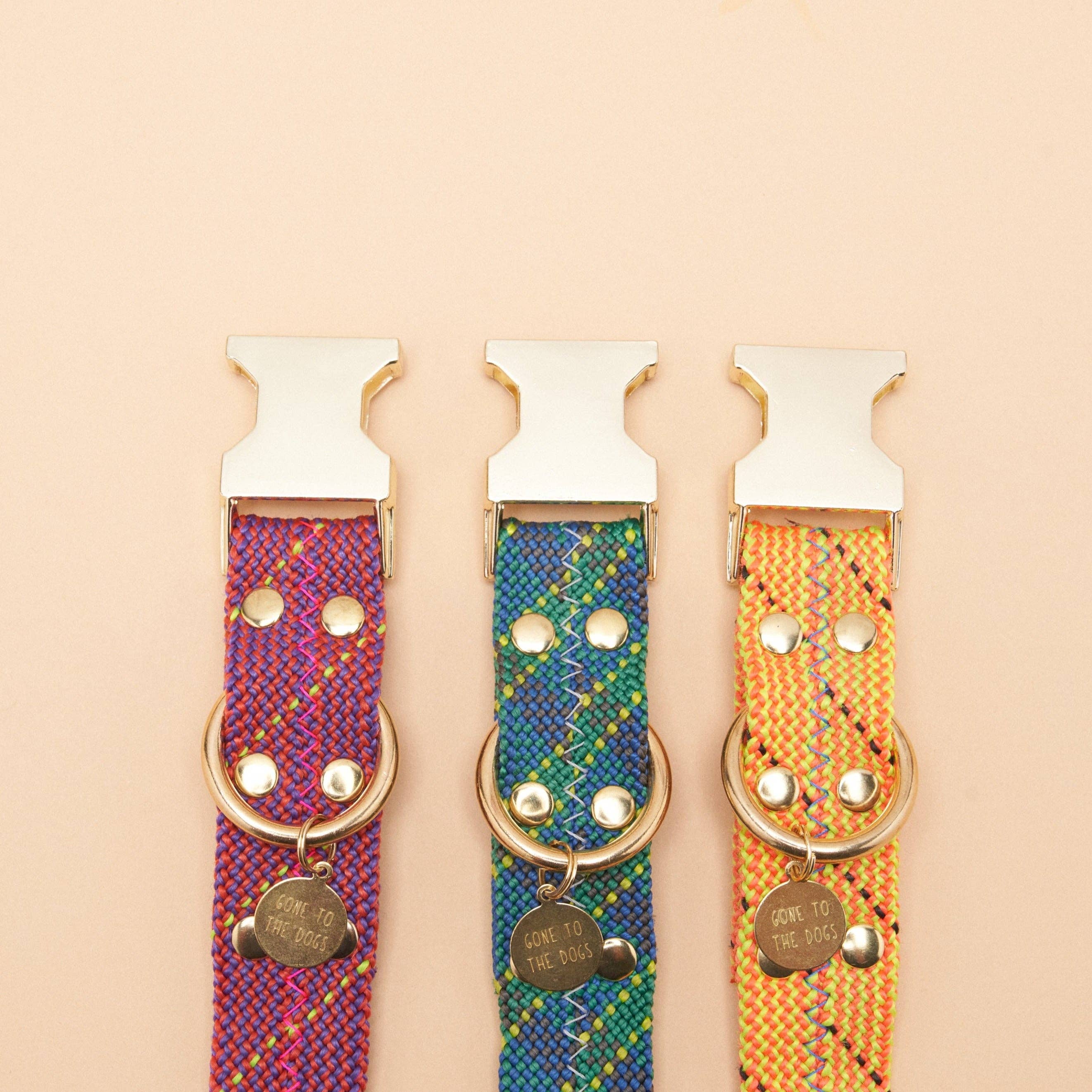 Dexter Large Dog Collar - Turbo Yellow for wholesale on Faire2