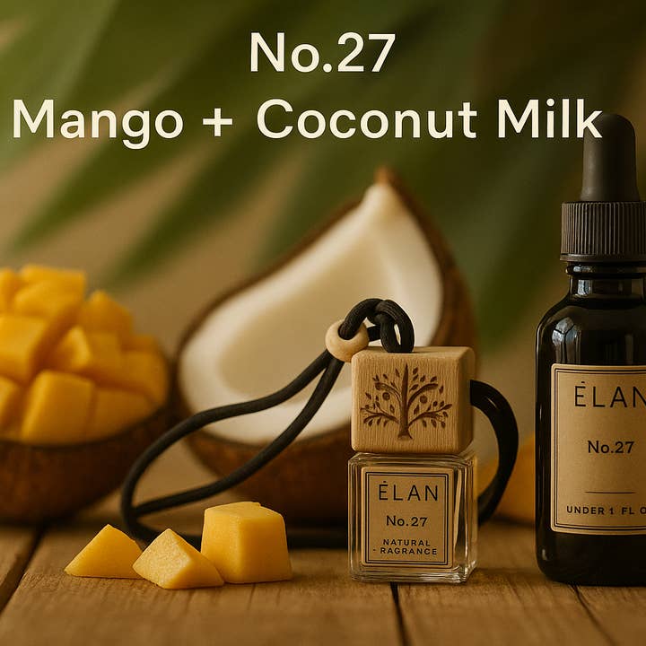 Ember & Elm Home Decor & More - Wholesale Car Freshener - Unisex - Élan Collection Car Fragrance Diffuser Set1