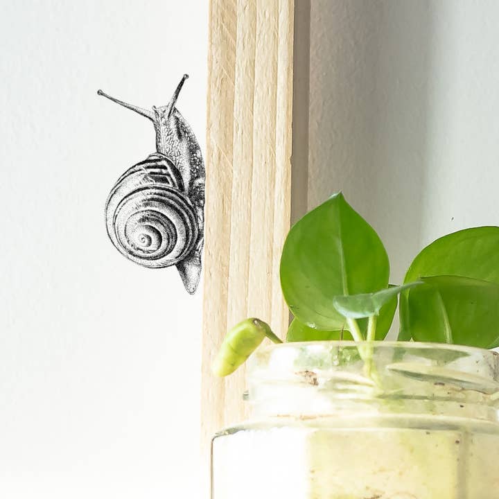 Sticker mural en forme d'escargot de jardin pour la vente par Fine Forest