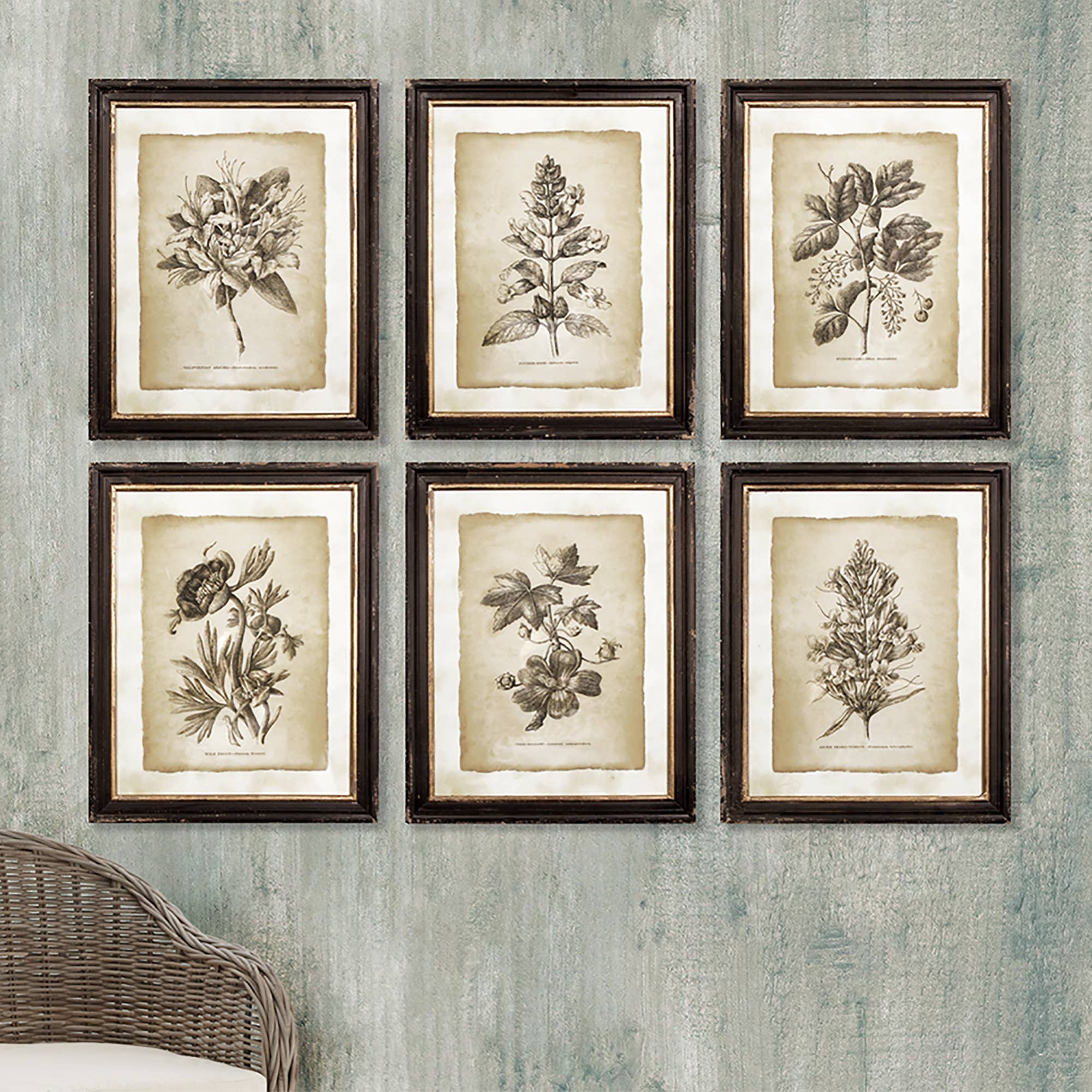 Napa Home & Garden - Wholesale Gallery Wall Set - Framed Vintage Floral Prints, Set Of 62