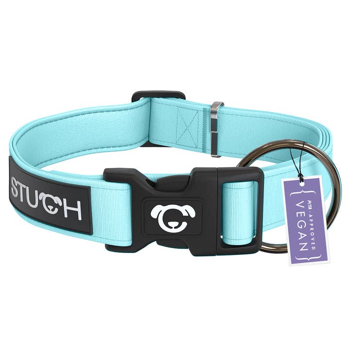 Padded dog collar - turquoise for wholesale by STUCH