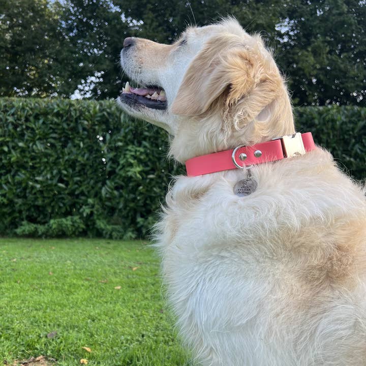 Splash By Happy - Wholesale Pet Collar - Dog - Biothane® clip necklace8