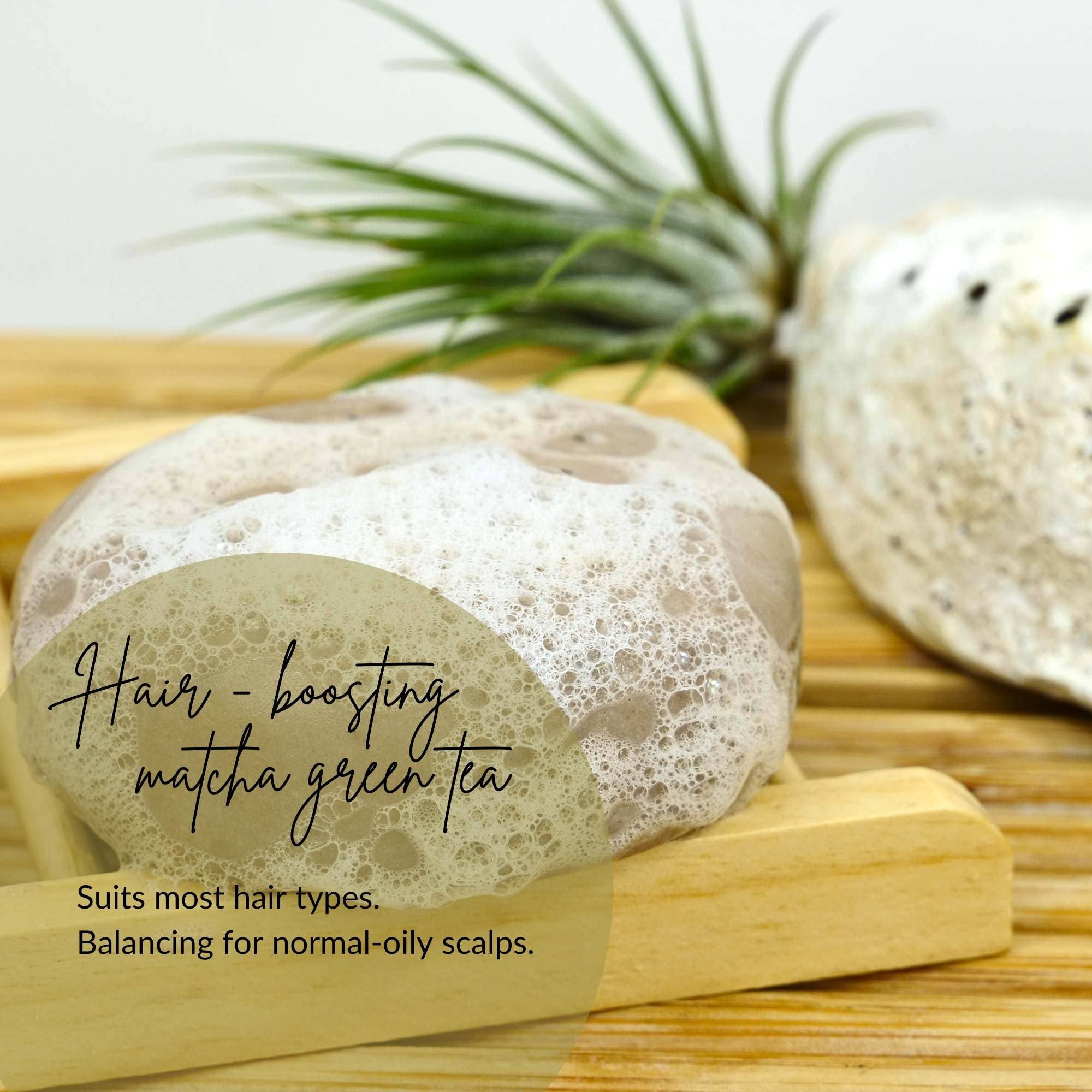 Acala Online - Vendita all'ingrosso Shampoo a saponetta/solido - Shampoo equilibrante Matcha Clean Green di ACALA1