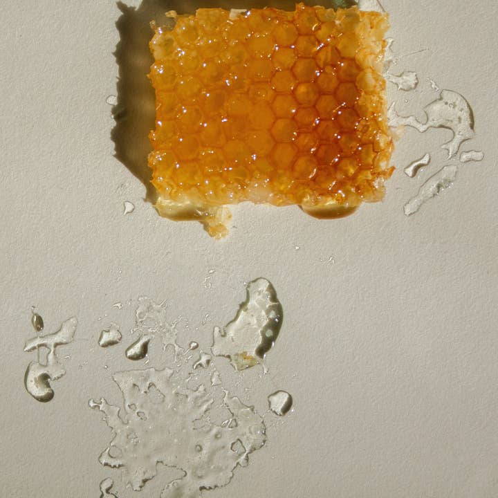 SUMMER SOLACE- Regenerative Tallow Beauty - Wholesale Lip Balm - Cardamom & Blood Orange – Citrus Tallow Lip Balm, .15 oz4