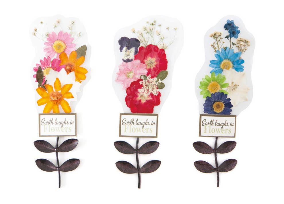 Sunnie Lane - Wholesale Dried/Pressed Flowers - Real Flower Gift & Souvenir - Custom Gifts4