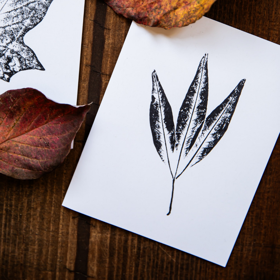 Reclaimed Gardens - Wholesale Stationery/Notecard Set - Botanical Monoprint Card Collection5