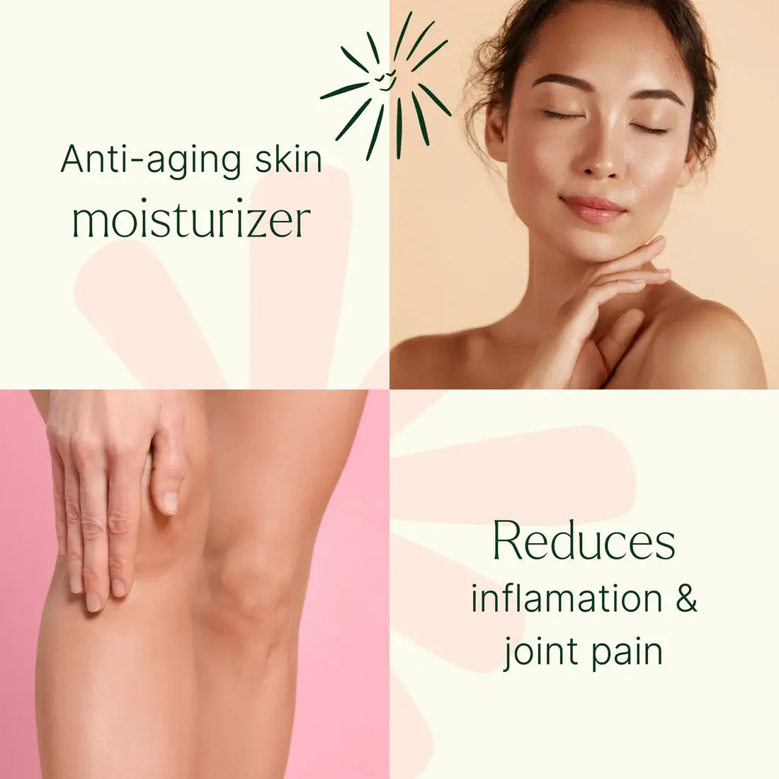 Plant Therapy - Wholesale Essential Oil Roll-On - Organic Castor Oil 30mL Roll-On8