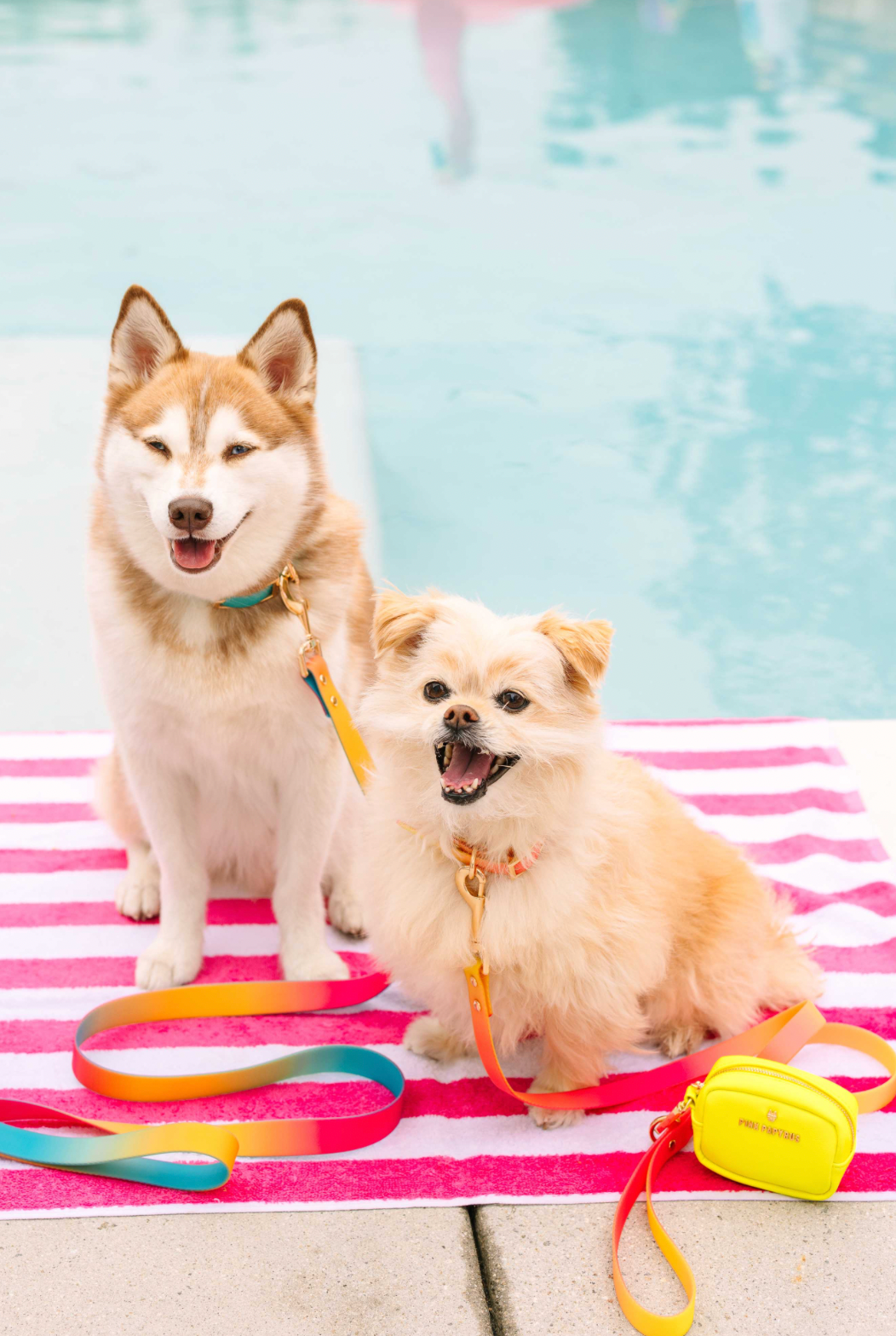 Pink Papyrus | Premium, Durable, & Stylish Dog Products – wholesale Pet poo bag dispenser – Kiki Neon Yellow Waste Bag Dispenser And Treat Pouch4