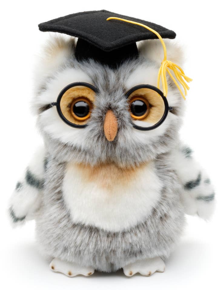 Owl with doctor hat and glasses - cuddly/plush toy for wholesale by Uni Toys