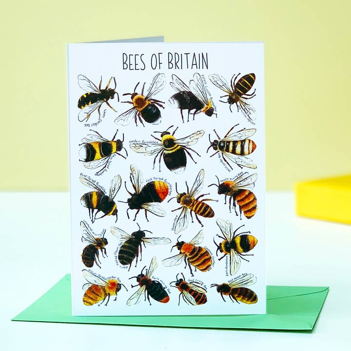 Bees of Britain Art Blank Greeting Card for wholesale by Alexia Claire Ltd
