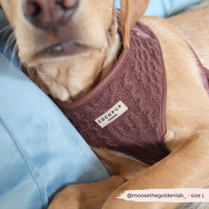 Cocopup London - Vente Harnais – chien - Harnais à col réglable en tricot torsadé couleur chocolat - Hot Coco5