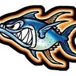 Crazy Ahi (tuna) Decal for wholesale by nalu blue