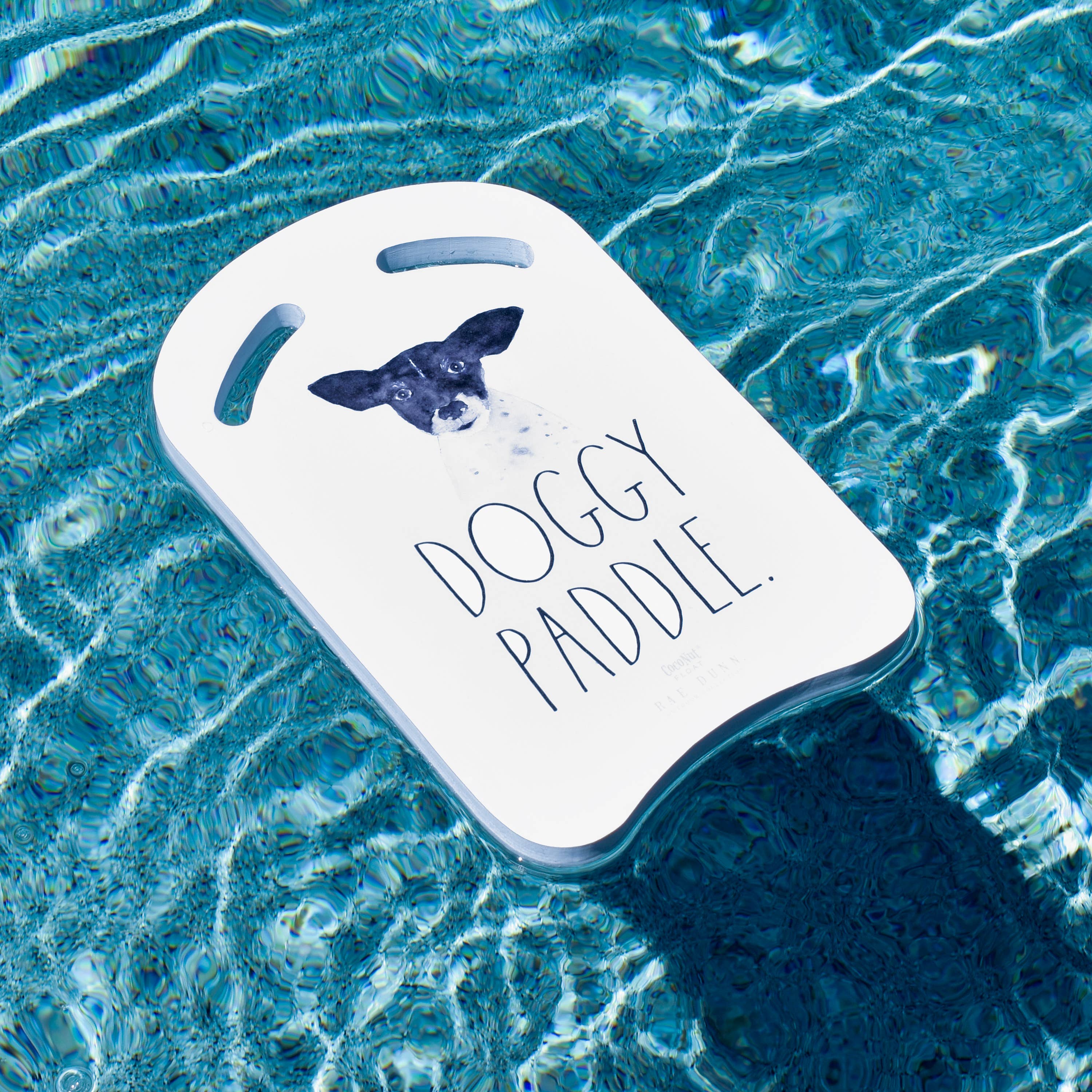 Coconut Outdoor - Wholesale Beach/Pool Toy - Kids & Baby - Rae Dunn - Foam Kickboards - 12pk Assortment in Display Tray5