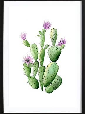 Cactus Blomst Plakat for engroshandel hos Wallified