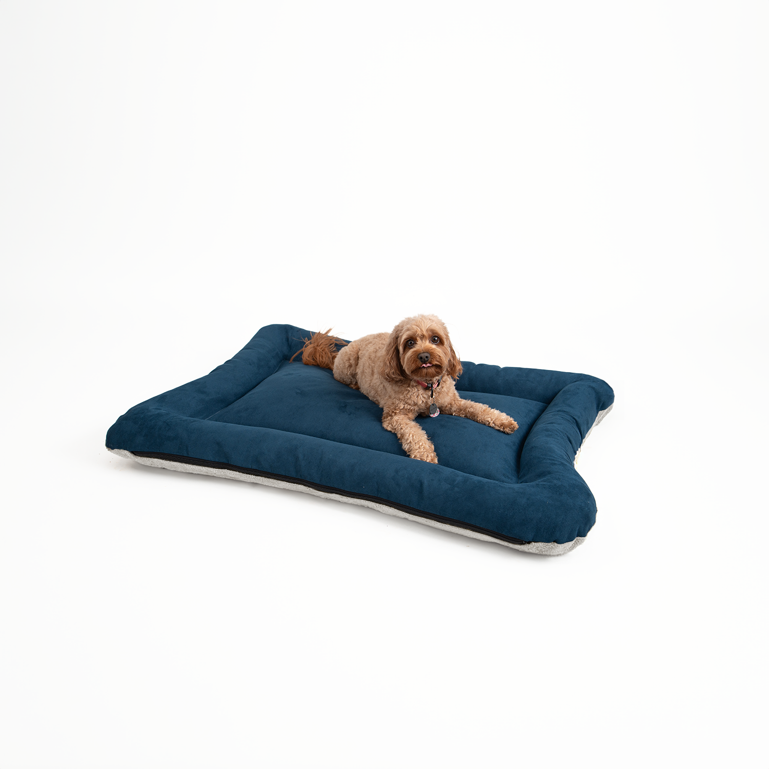 Snoozer Pet Products - Vendita all'ingrosso Letto - Cani - Cuccia per Cani All Day di Snoozer4