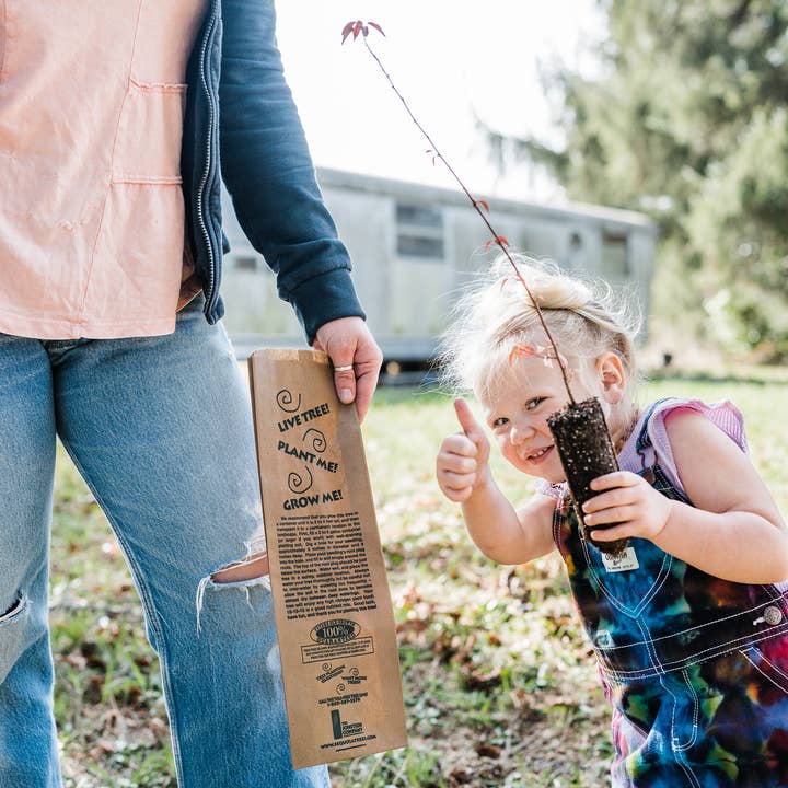 The Jonsteen Company - Wholesale Plant Seeds - Kraft Bag Seedlings8